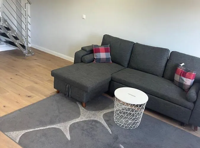 Mitten In Apartment *