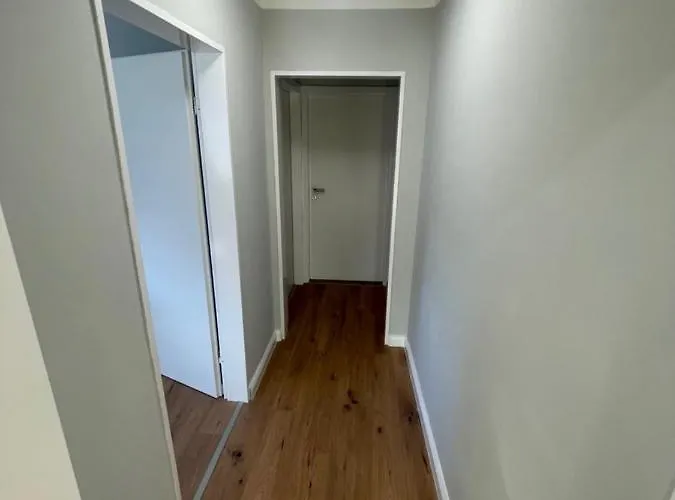 Mitten In Apartment *